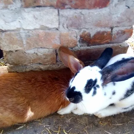 Jurtafarm - A Nomad Luxus Lyxtält *