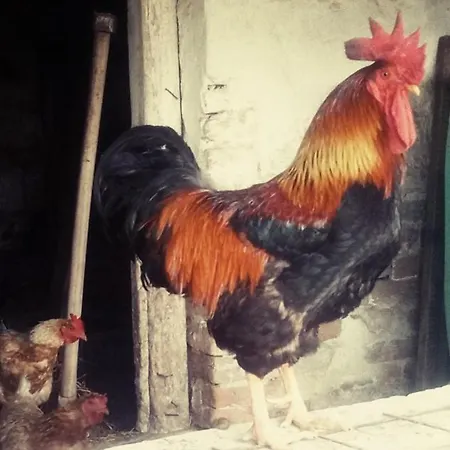 Jurtafarm - A Nomad Luxus *