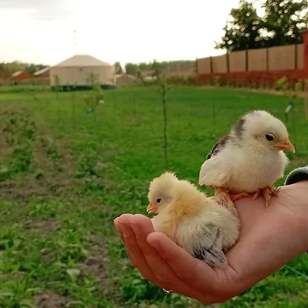 Tente de luxe Jurtafarm - A Nomad Luxus *